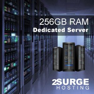 Services - 256GB Dedicated Server Hosting